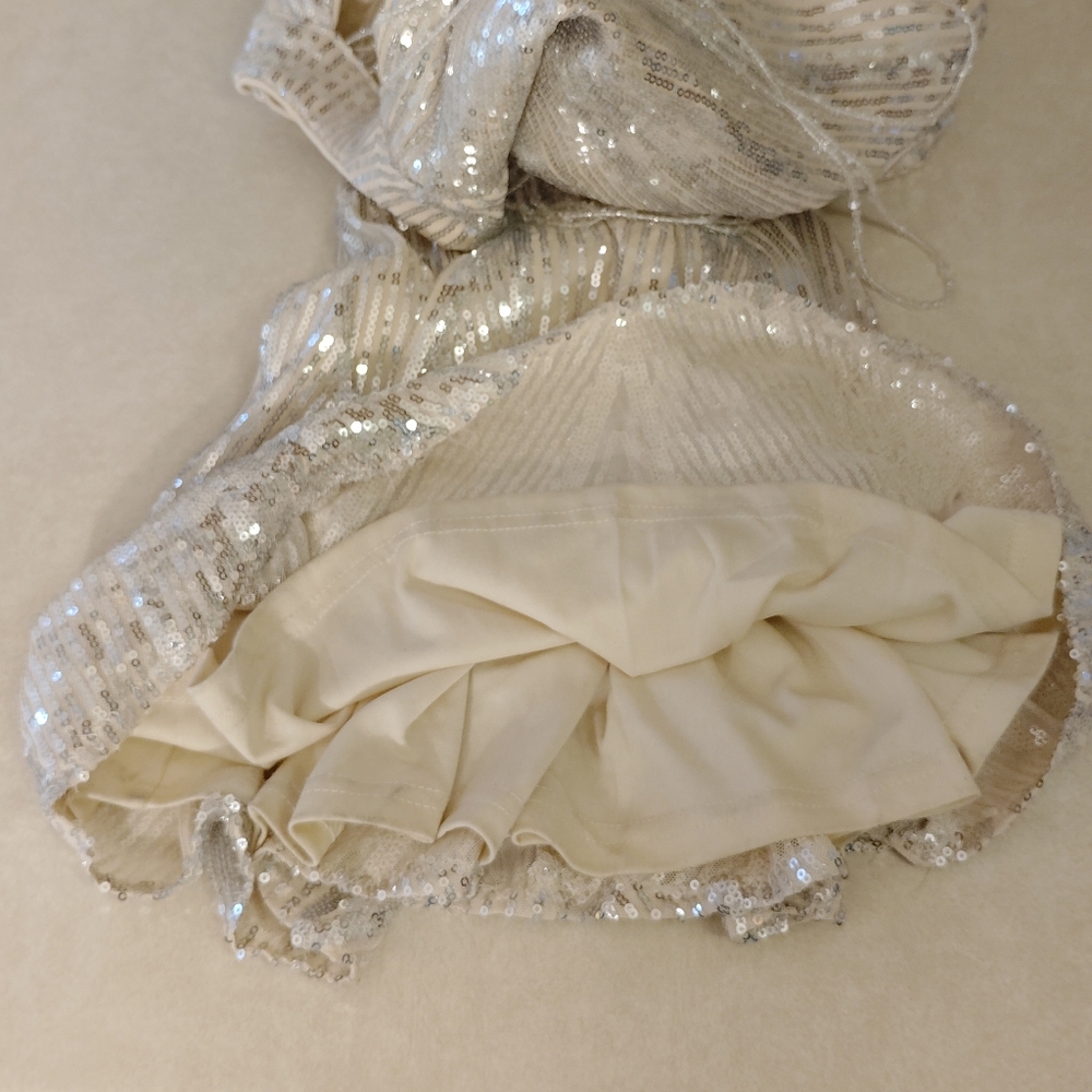 Elegant Silver Evening Gown - Picture 8 of 10